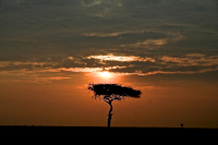 Kenya